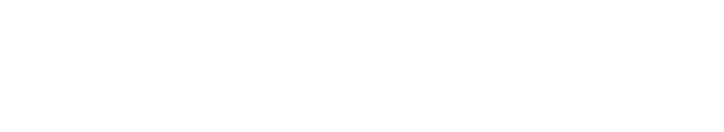 Nighat Gee Logo